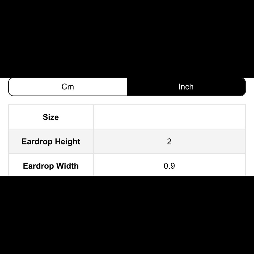 EARRINGS NWOT - Picture 5 of 5